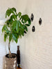 Berber albast masker muurdecoratie 2