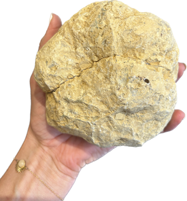 Edelsteen bergkristal geode
