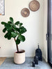 Binga mand large 6