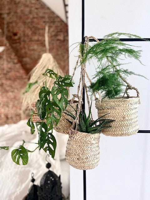 Palmblad mand hangend